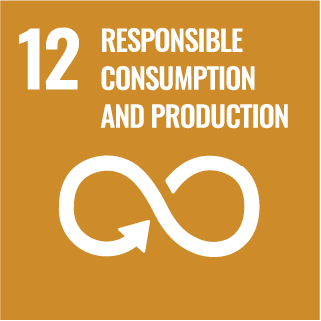 un sdg 12 copy INTEC Energy Solutions 16